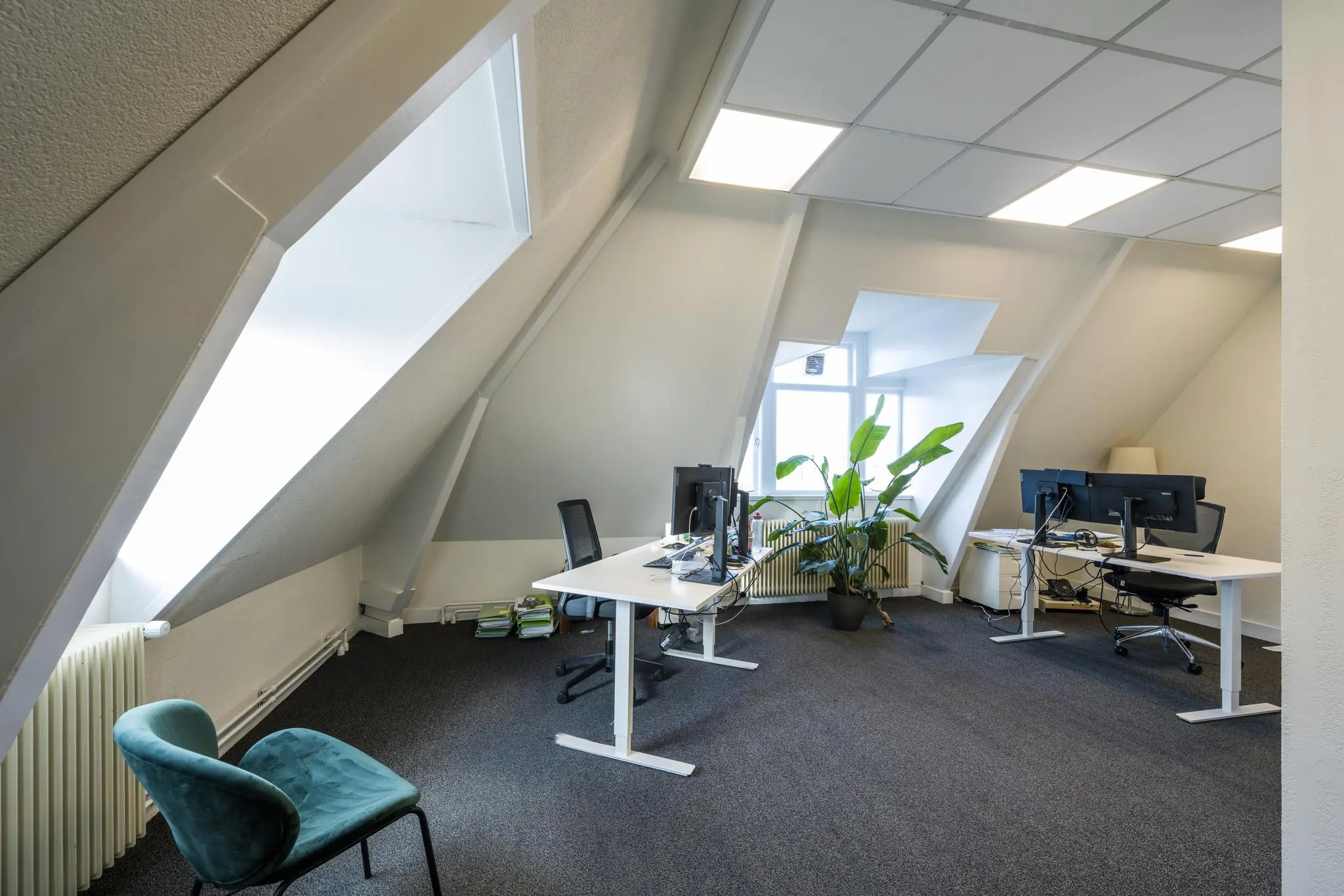 Modern kantoor op zolderverdieping aan de Van Eedenstraat met schuine plafonds, werkplekken en een grote kamerplant.